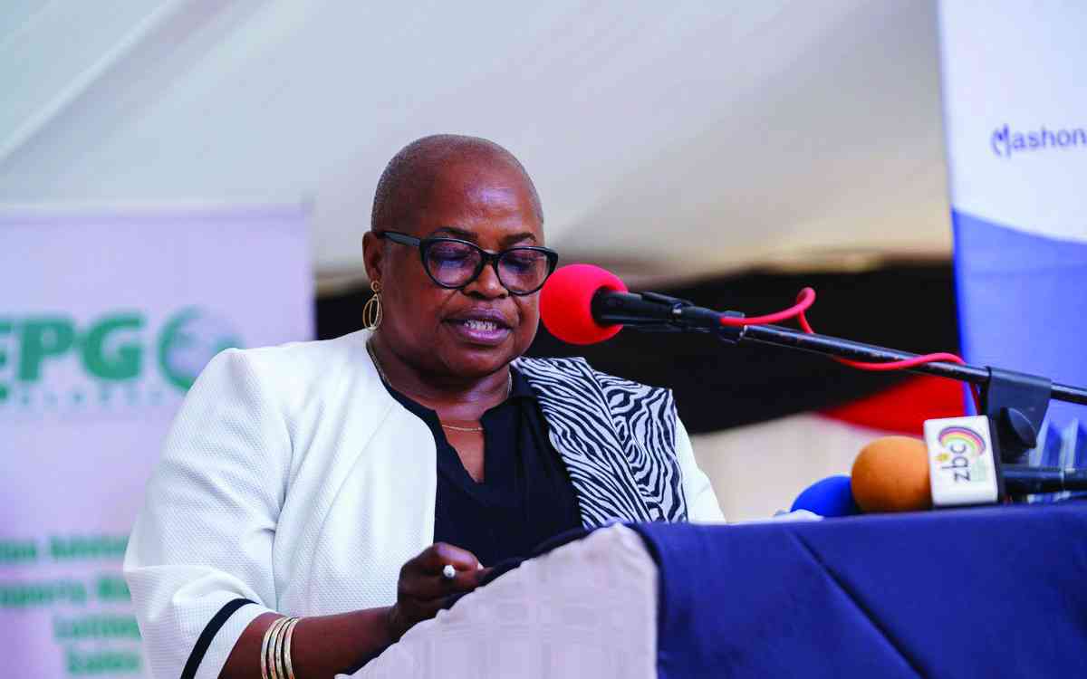 Mashonaland West strengthens disability inclusion