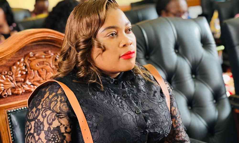 Harare prime land saga deepens