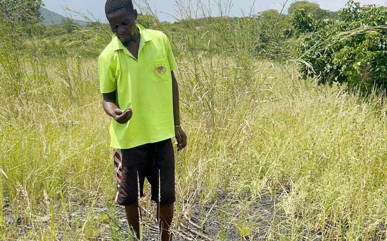 Living on smouldering grave: How broken sanitation drives Hwange residents into deadly fire zones