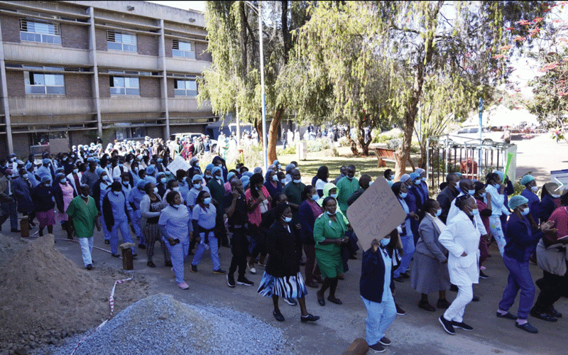 Letter to my people: Twerking for the ZiG: Inside Zimbabwe’s  descent into constitutional ruin