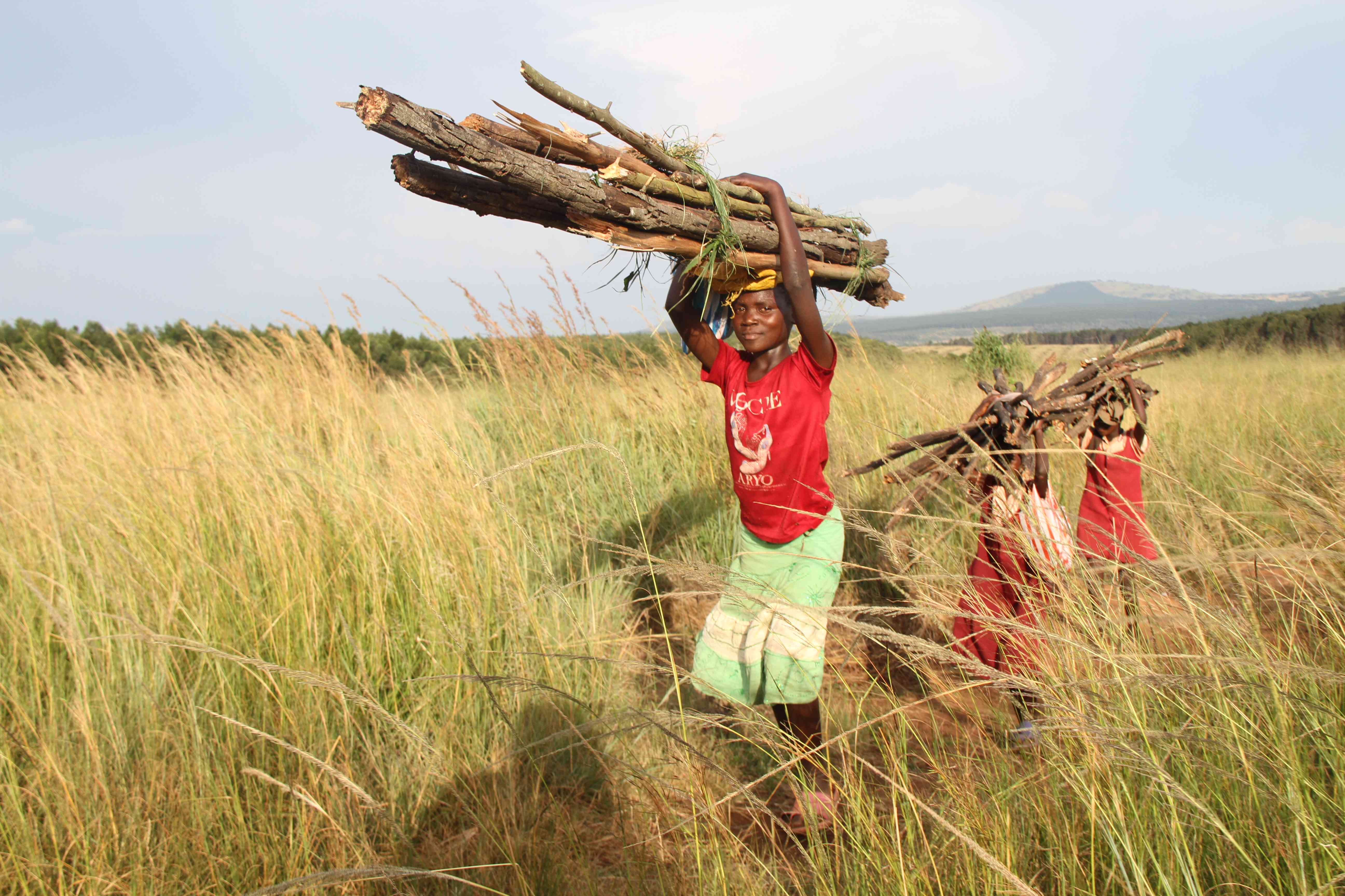 Zim must confront the human hand behind climate change