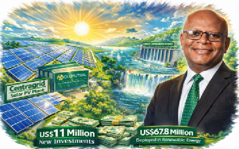 Old Mutual Zimbabwe bets $11m on green energy push