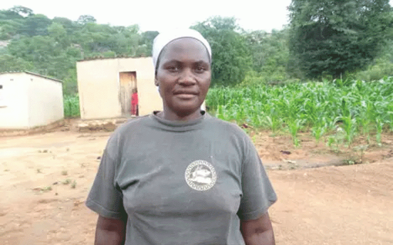 Cows, cash and political quotas: Inside the bribery racket preying on Zim’s nursing hopefuls