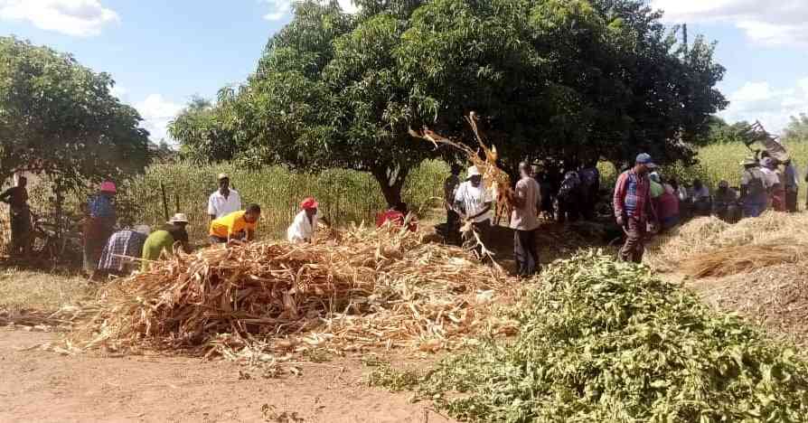 Sanyati farmers get survival tips amid climate change