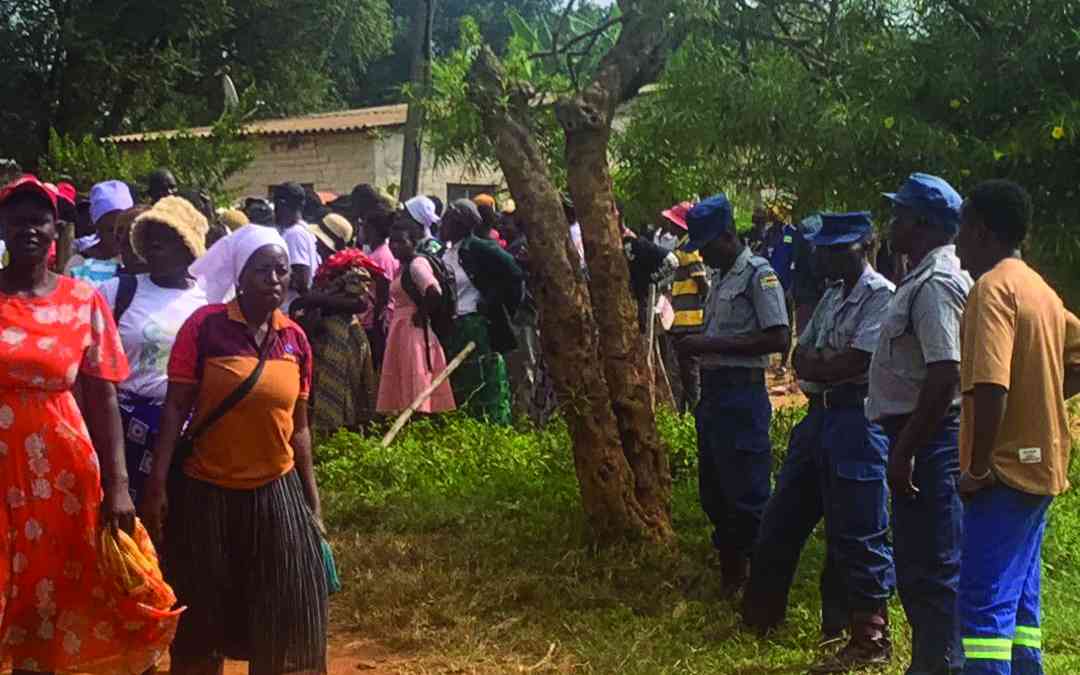 The three-finger code: How Zanu PF orchestrated the hijacking of Zimbabwe’s constitutional future