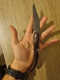 From knife to gunfire: The perilous  continuum of violence across Limpopo