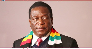 Mnangagwa 2030 bid in bizarre turn