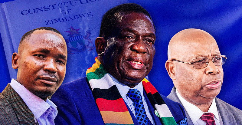 Mnangagwa 2030 bid in bizarre turn
