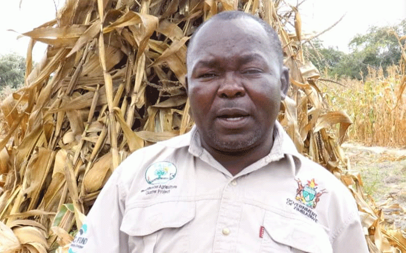 Farmers urged to embrace certified seed for higher yields