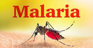 Funding cuts fuel deadly malaria surge in Mash West
