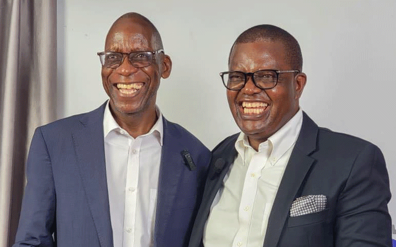 Madhuku speaks on Zim’s new power grab