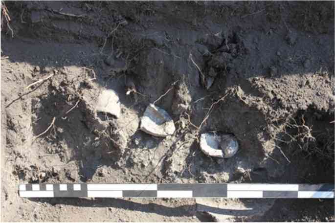 Mhondoro shrines under siege from mining project