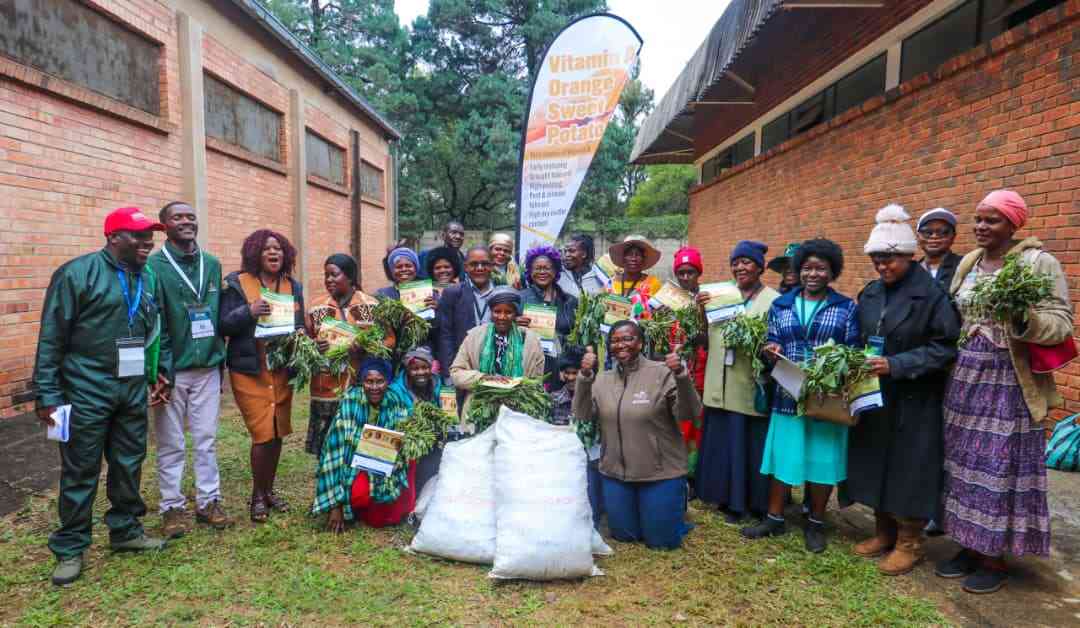 Harvesting nutrition in a time of climate crisis