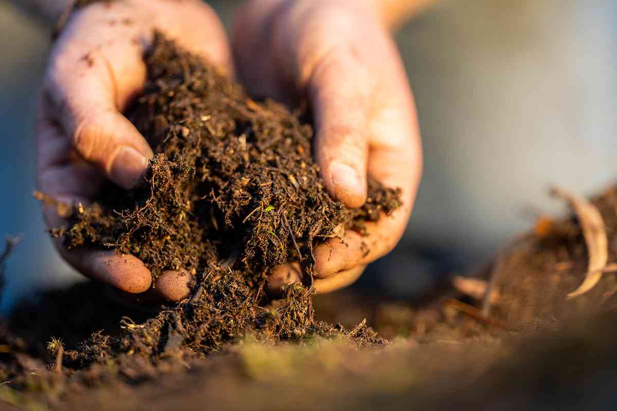 Healthy soils, healthy nation: Why Zim must invest more in sustainable soil management