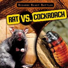 Rats, roaches and rage