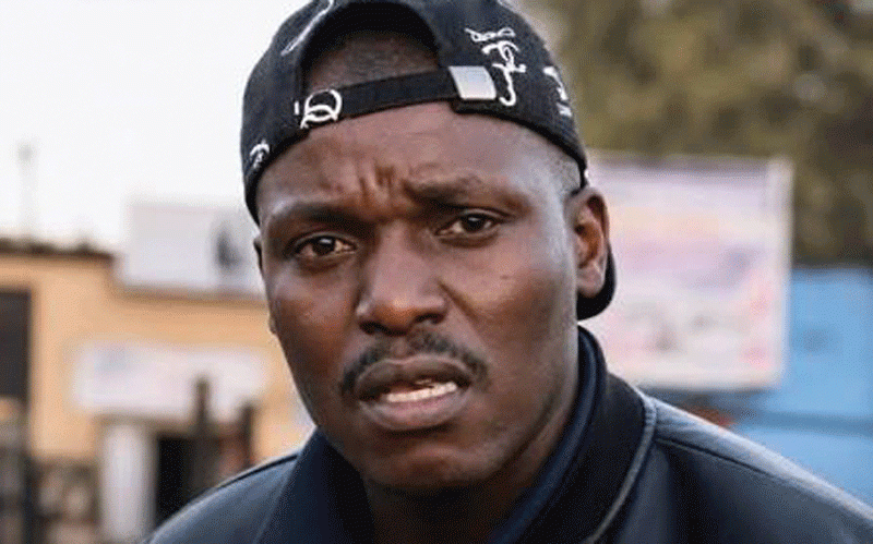 Zanu PF irony over British democracy