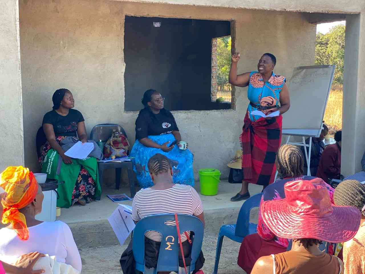 Gender-based violence and its effects on women development in Zimbabwe