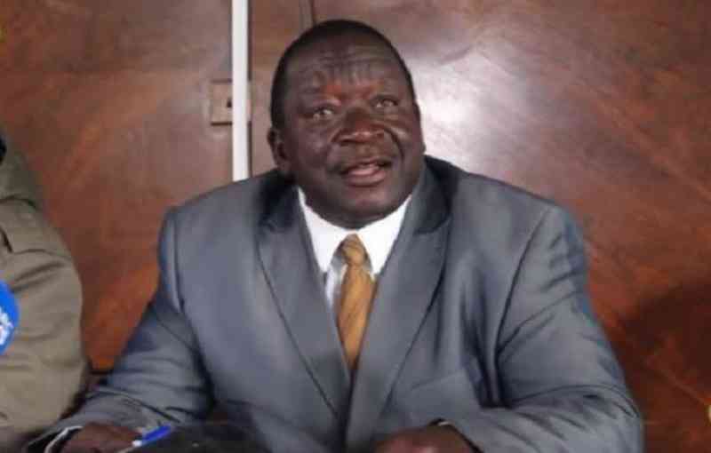 Matemadanda in poison scare, battles for life