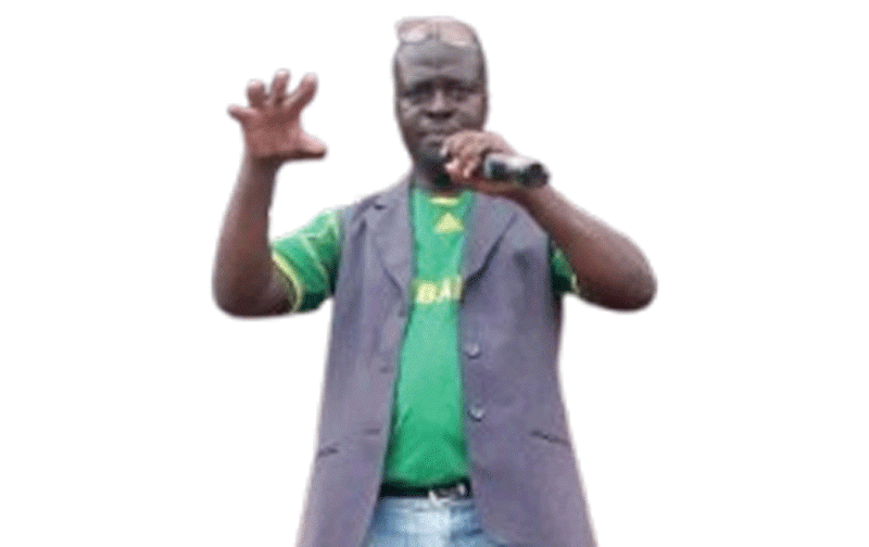 Hurungwe Arts Festival goes regional for 10th anniversary