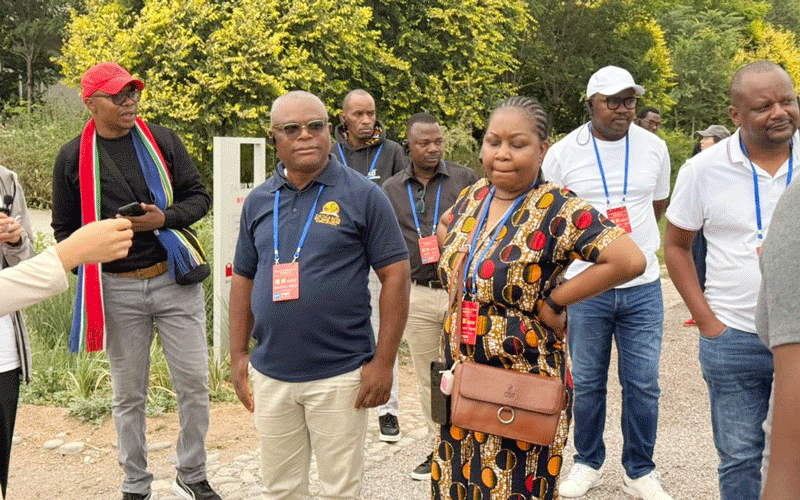 The Ningxia blueprint: Why China succeeds and Zimbabwe stalls
