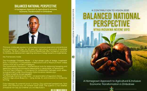 Shaping Zimbabwe's development narrative through homegrown ideas