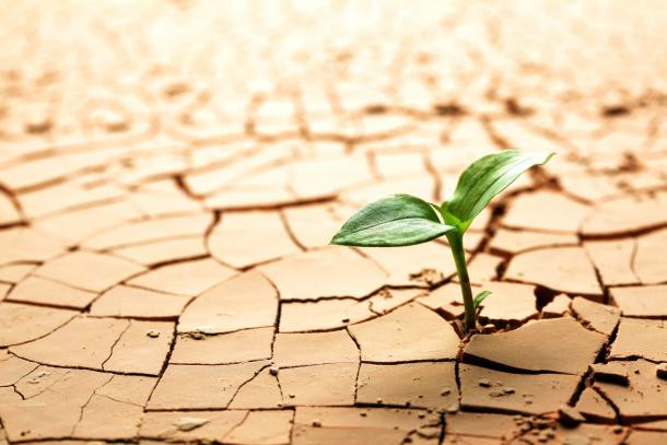 Drought preparedness holds the  key to Zim's agricultural future