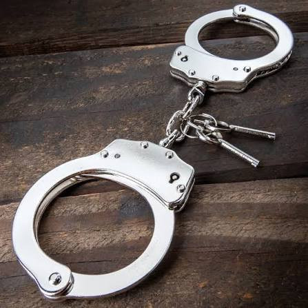 Driver nabbed for viral cop assault