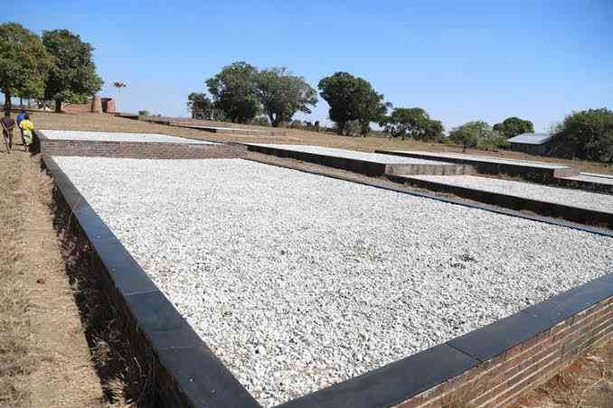 Zanu PF shaken by Chimoio spirit mediums