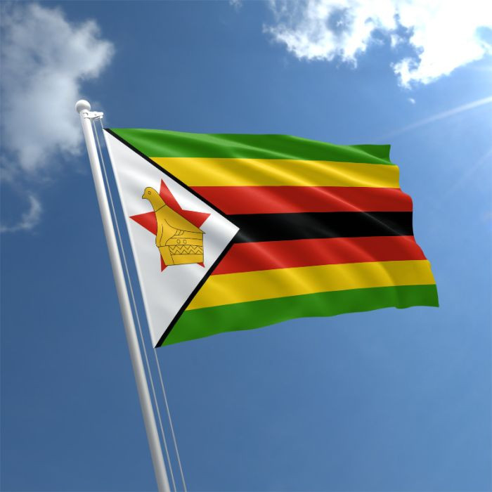 Will Zimbabwe’s David finally confront Goliath?