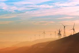 Seizing the triple cop, positioning Africa and Zim for climate, land, and biodiversity financing