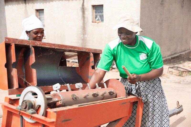 How AgricTech cuts labour for Zim’s female farmers