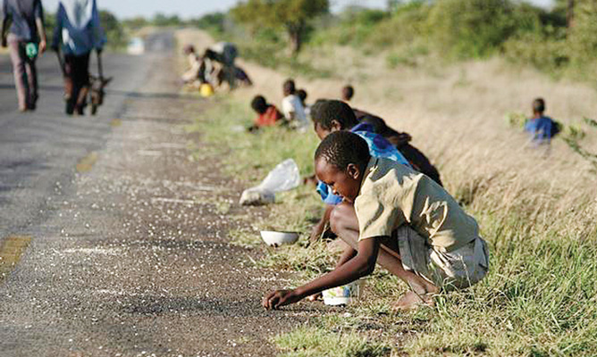 zimbabwe-faces-one-of-the-world-s-worst-food-crisis-new-un-report