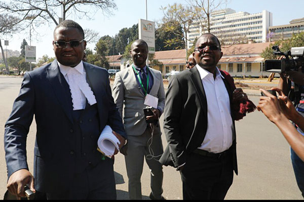 top-lawyer-for-chamisa-newsday-zimbabwe