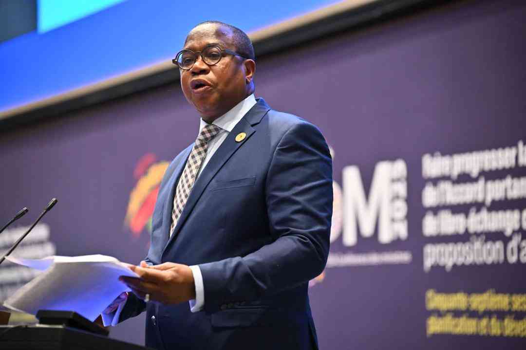 AfCFTA's implementation uneven: Mthuli